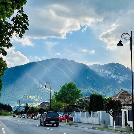 Casa Bunicilor Villa Colonia Sase Martie Kültér fotó