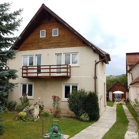 Casa Bunicilor Villa Colonia Sase Martie Kültér fotó