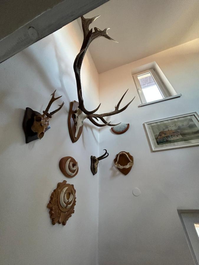 Casa Bunicilor Villa Colonia Sase Martie Kültér fotó