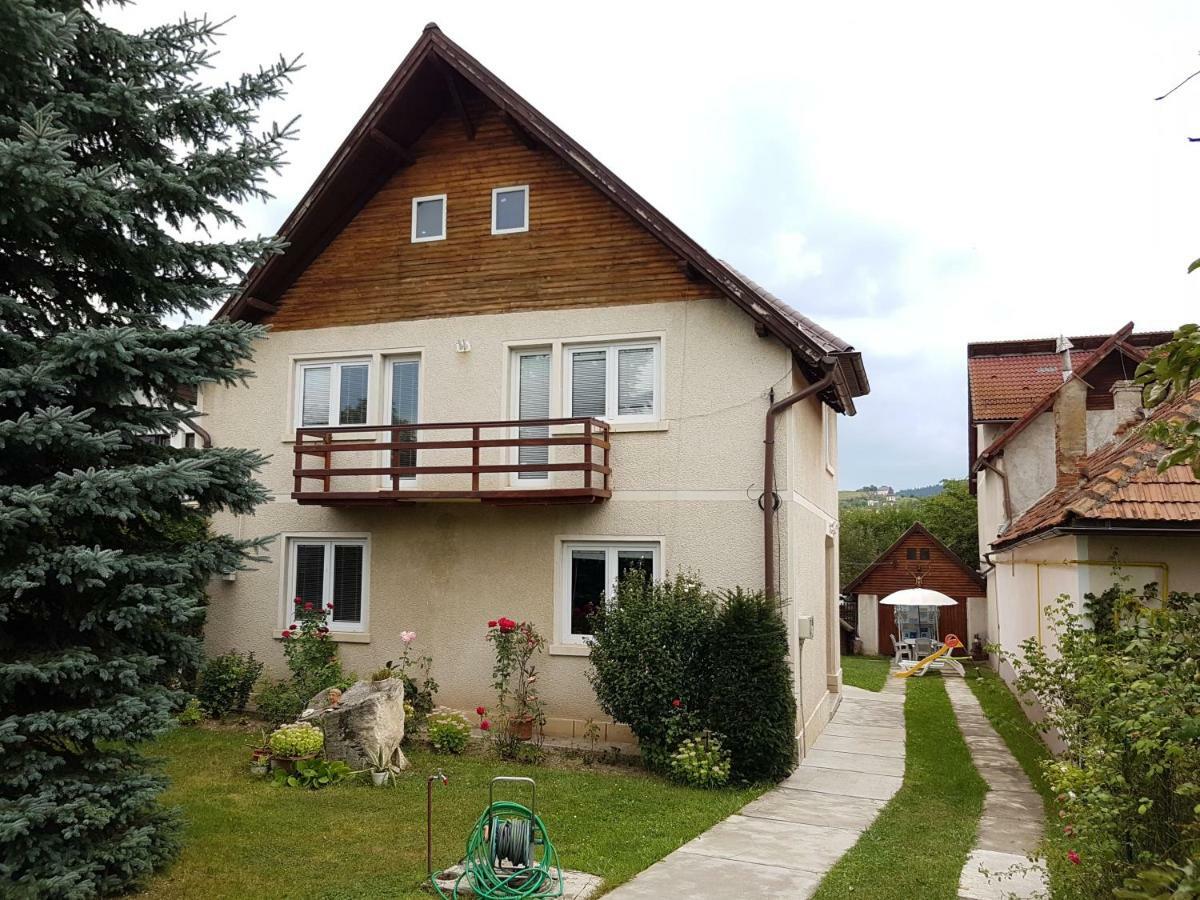 Casa Bunicilor Villa Colonia Sase Martie Kültér fotó